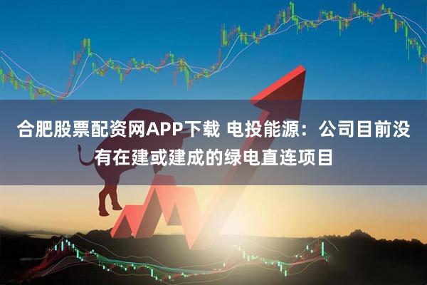 合肥股票配资网APP下载 电投能源：公司目前没有在建或建成的绿电直连项目