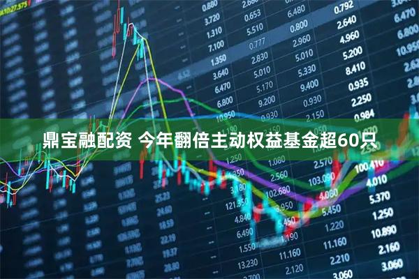 鼎宝融配资 今年翻倍主动权益基金超60只