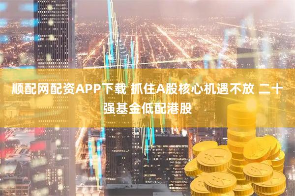 顺配网配资APP下载 抓住A股核心机遇不放 二十强基金低配港股