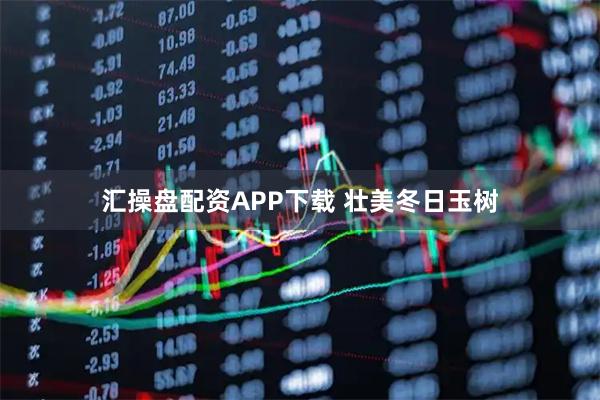 汇操盘配资APP下载 壮美冬日玉树
